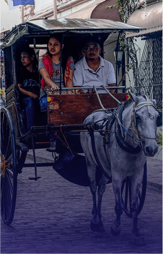 Transport